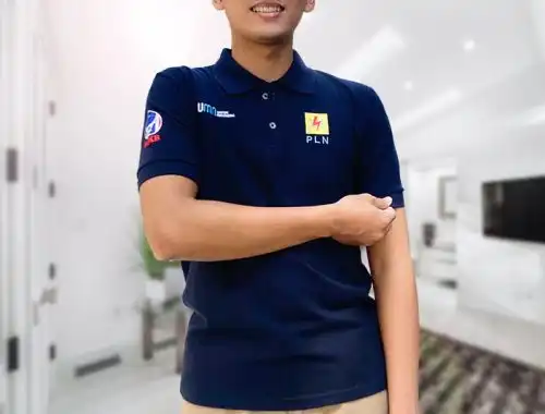 PT Perusahaan Listrik Negara